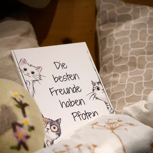 Die besten Freunde haben Pfoten (Katzen)