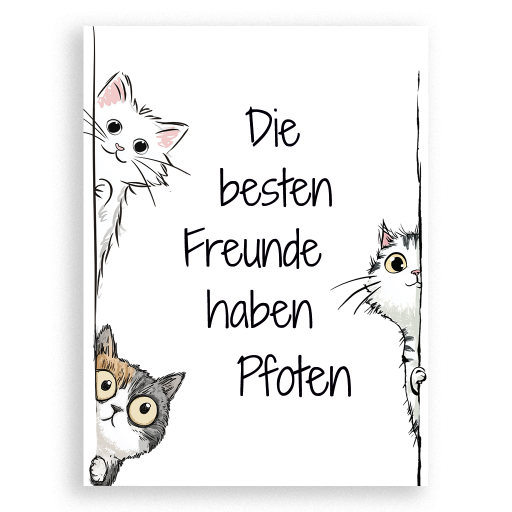 Die besten Freunde haben Pfoten (Katzen)