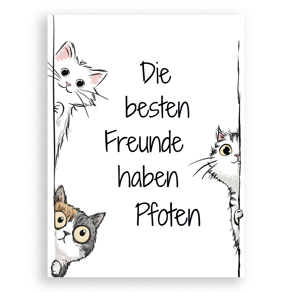 Die besten Freunde haben Pfoten (Katzen)
