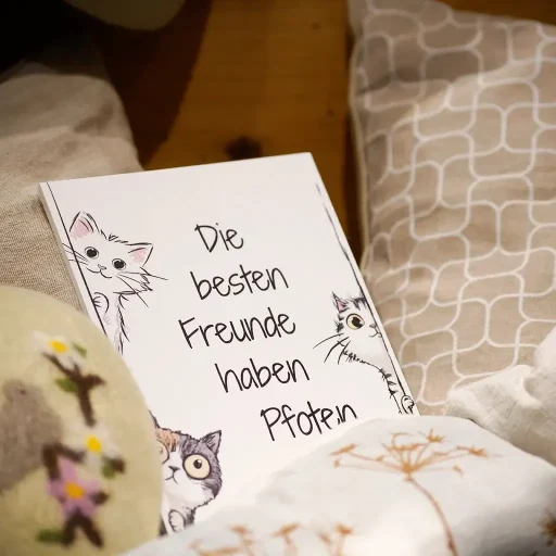Die besten Freunde haben Pfoten (Katzen)
