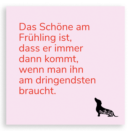 Das Schöne am Frühling