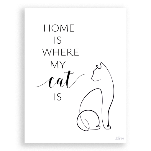 Home is where my cat is